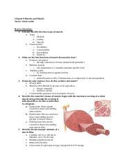 Chapter 9 Muscles Muscle Tissue Study Guide Answers Reader