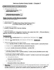 Chapter 9 Nervous System Study Guide Answers Doc