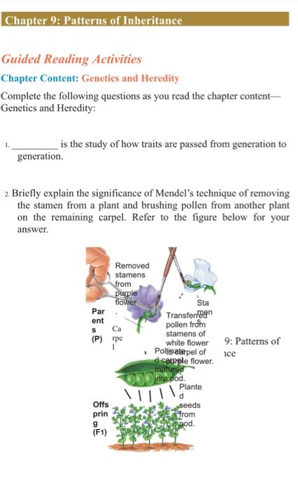 Chapter 9 Patterns Of Inheritance Answer Key Reader