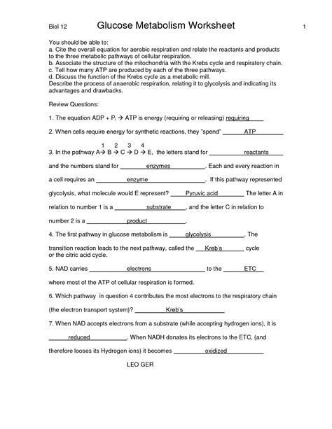 Chapter 9 Review Worksheet Cellular Respiration Answer Key Epub