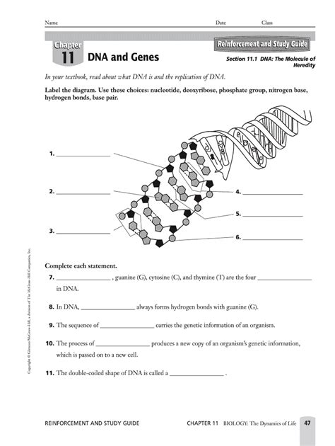 Chapter Assessment Answers Dna Genes PDF