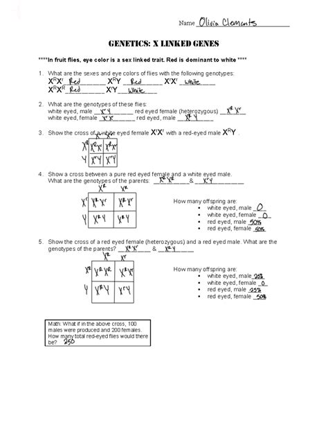 Chapter Review Genetic And Dna Answer Key Reader