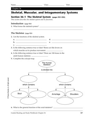 Chapter36 Skelatal Mudcular And Integumentary Answer Key Reader