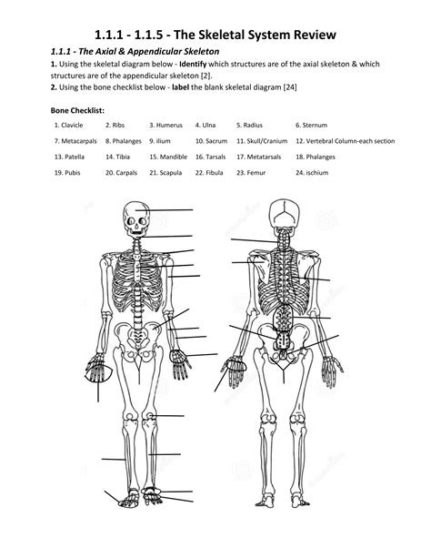 Chapter36 The Skeletal System Review Answers Epub