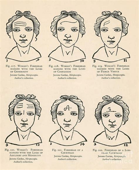 Character Reading from The Face The Science of Physiognomy PDF