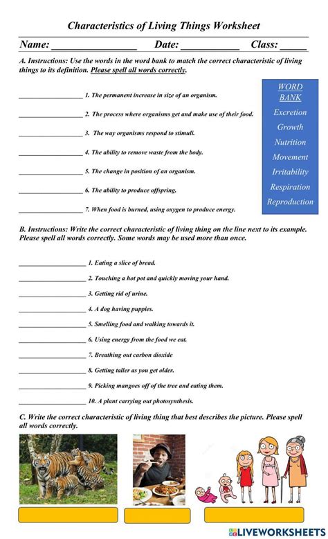 Characteristics Of Living Things Worksheet With Answers Doc