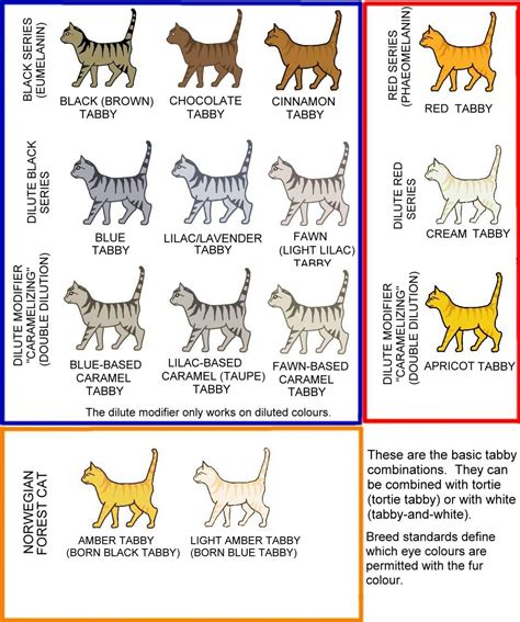 Characteristics of Brown and White Cats