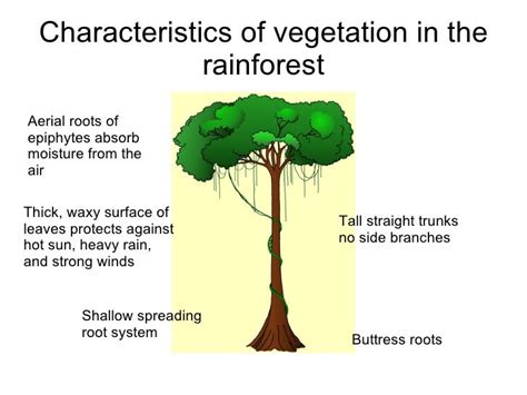 Characteristics of Exotic Ecosystems