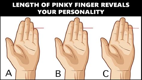 Characteristics of Lil Pinky