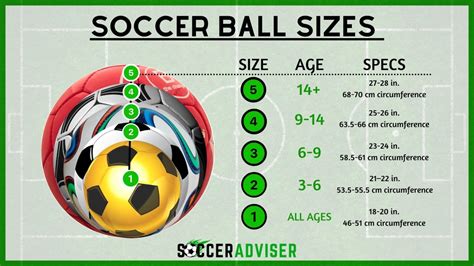 Characteristics of a Size 5 Soccer Ball