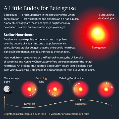 Characterizing the companion star: