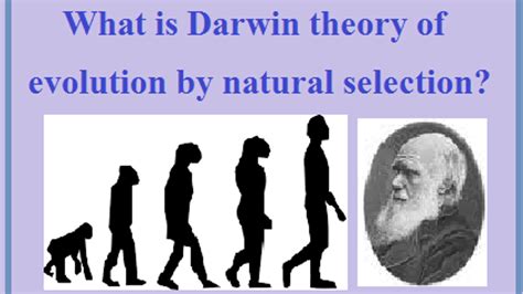 Charles Darwin and the Theory of Evolution Epub