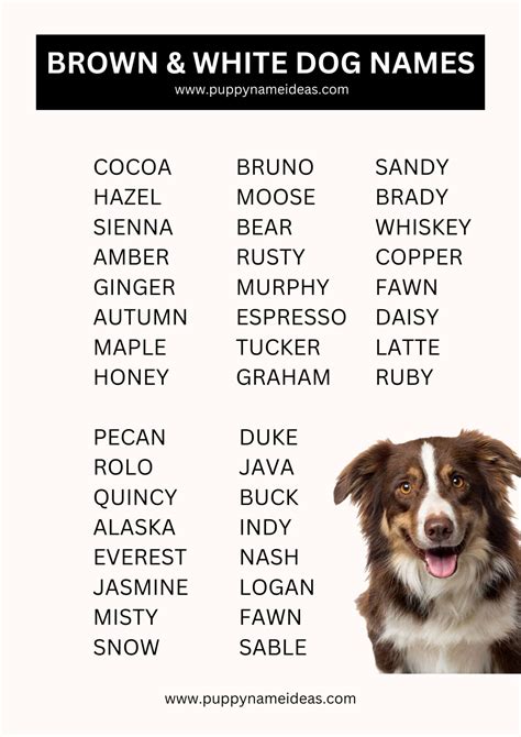 Charming Canines: A Comprehensive Guide to Brown and White Dog Names