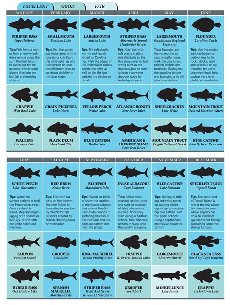 Chart North Carolina Saltwater Fish