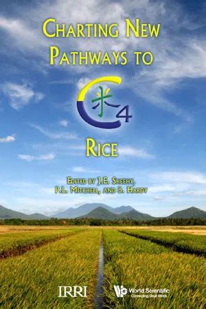 Charting New Pathways To C4 Rice PDF