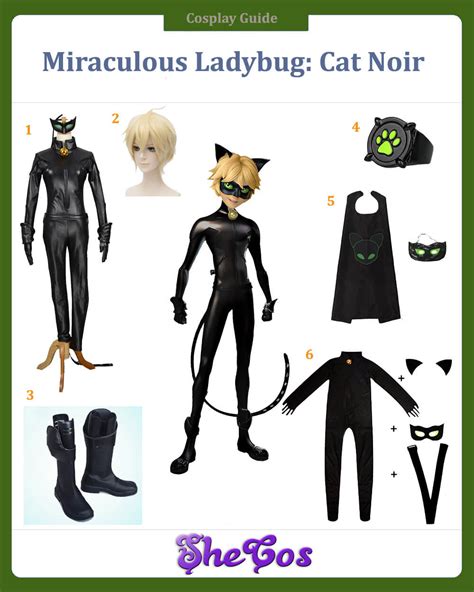 Chat Noir Costume: A Comprehensive Guide