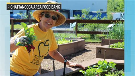 Chattanooga Food Bank of Chattanooga, TN: Feeding the Hungry Since 1982