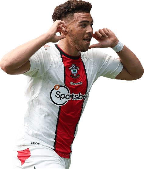 Che Adams: A Footballing Enigma