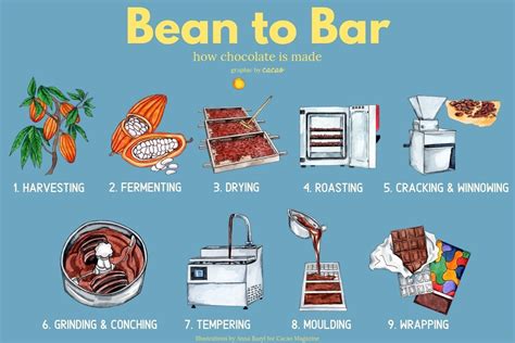 Check the bean-to-bar process: