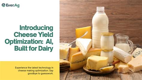 Cheese Coins: A Revolutionary New Way to Invest in Dairy