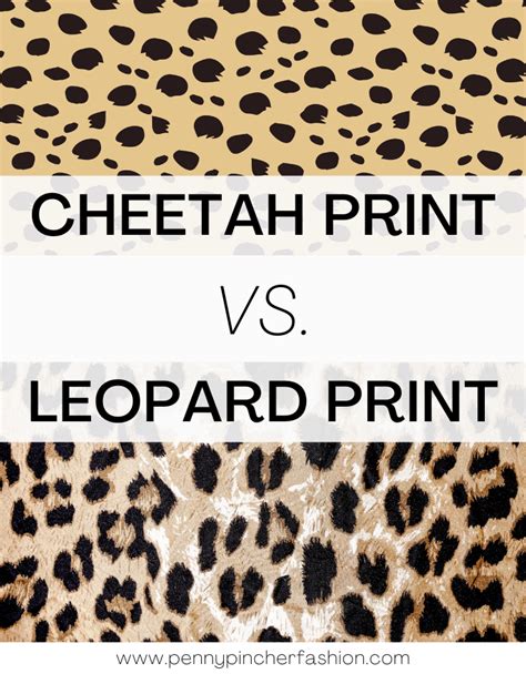 Cheetah Ladies Shirt: The Ultimate Guide to Style and Empowerment