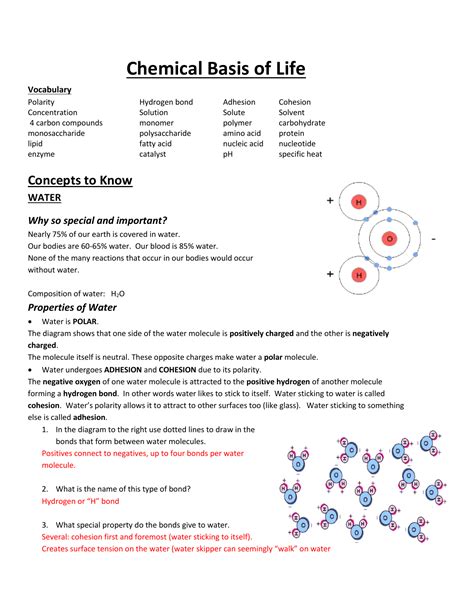 Chemical Basis Of Life Story Answers For PDF