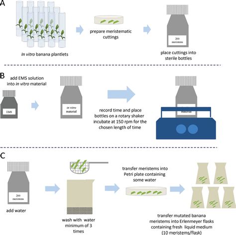 Chemical Mutagenesis Reader