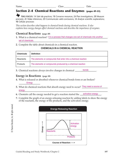 Chemical Reactions And Enzymes Workbook Answers Reader