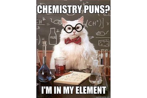 Chemistry Cat Meme: Unraveling the Secrets of the Internet's Feline Phenomenon