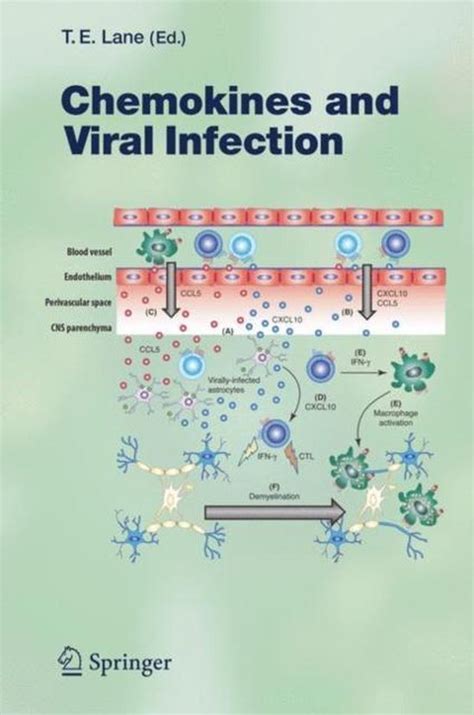 Chemokines in Viral Infections 1st Edition Kindle Editon