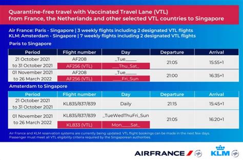 Chennai to Singapore VTL Flights: Your Safe and Convenient Gateway to Asia in 2025