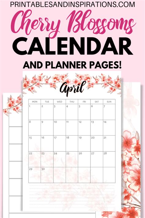 Cherry Blossoms Medium Weekly Monthly 2019 Planner July 2018 June 2019 Academic Year Kindle Editon