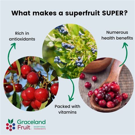 Cherry Devire: Unveiling the Health Benefits and Versatile Applications of a Superfruit