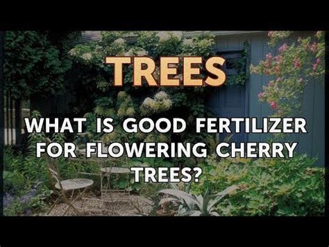 Cherry Tree Fertilizer: A Comprehensive Guide to Nurturing Your Japanese Flowering Cherry