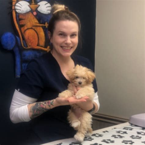 Chester County Animal Hospital: Your Comprehensive Pet Care Destination