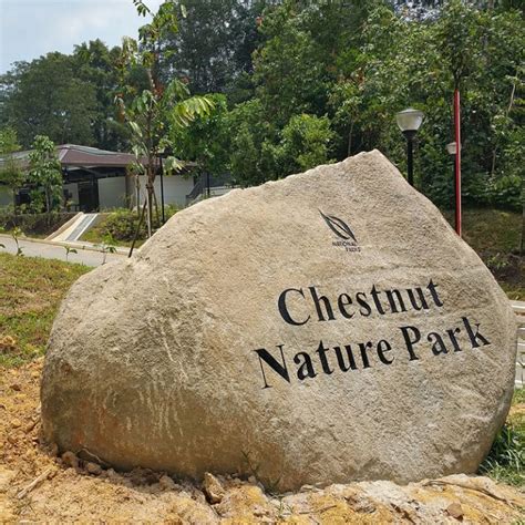 Chestnut Ave Chestnut Nature Park Singapore 679514: A Hidden Gem for Nature Lovers