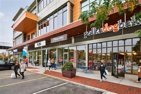 Chestnut Hill Stores: Your Ultimate Shopping Destination