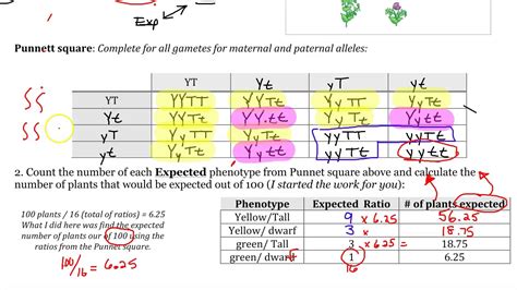 Chi Square Test Ap Biology Answers PDF