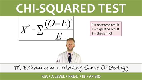 Chi-Square Test: A Statistical Powerhouse in AP Biology