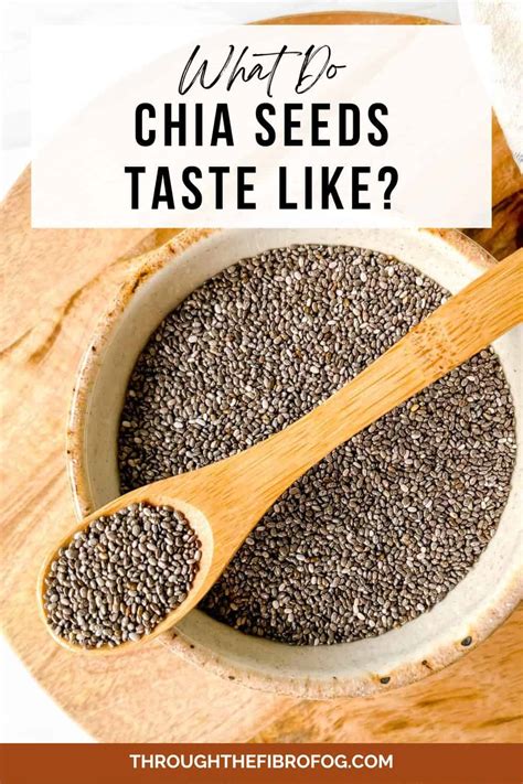 Chia Seeds Taste Like: A Culinary Explore