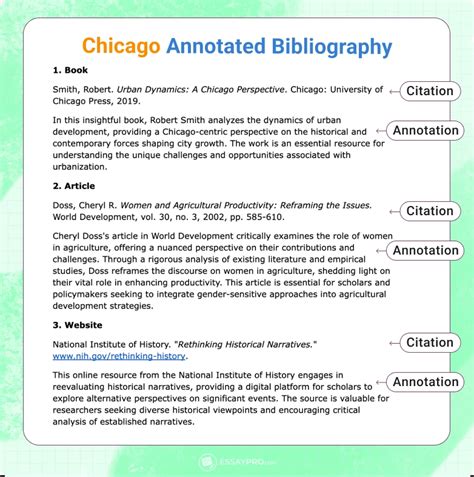 Chicago Annotated Bibliography Format: The Ultimate Guide for Researchers