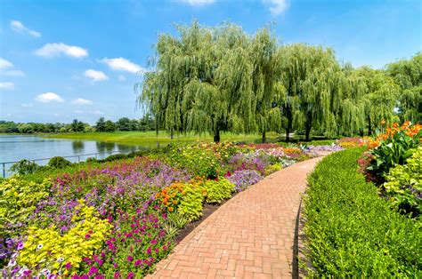 Chicago Botanic Garden: A Career Oasis of 1,000+ Opportunities