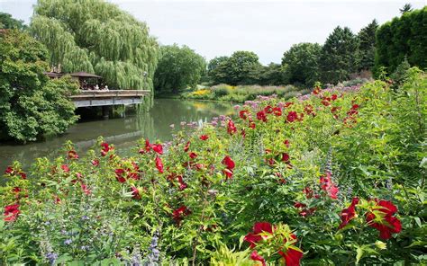 Chicago Botanic Garden Jobs: 5 Openings You Don't Want to Miss