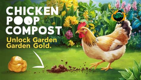 Chicken Compost Machine: 6 Ways to Turn Chicken Poop into Garden Gold