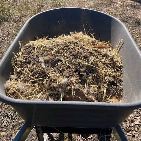 Chicken Compost Machine: The Ultimate Guide to Turning Chicken Manure into a Garden's Gold