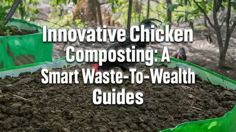 Chicken Compost Machine: The Ultimate Guide to Turning Chicken Waste into Black Gold