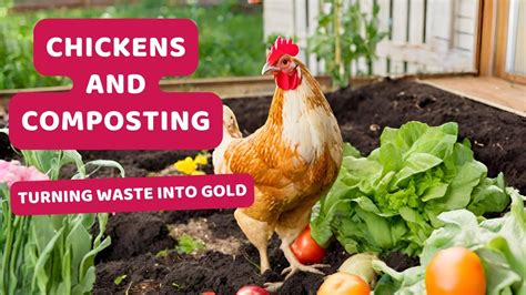 Chicken Compost Machine 3000: Transforming Waste into Gold