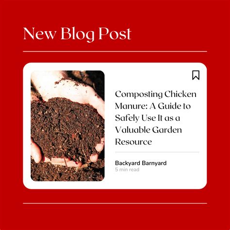 Chicken Manure: A Valuable Resource