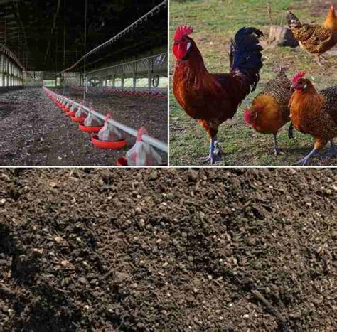 Chicken Manure Compost Making Machine: A Comprehensive Guide to Nutrient-Rich Soil