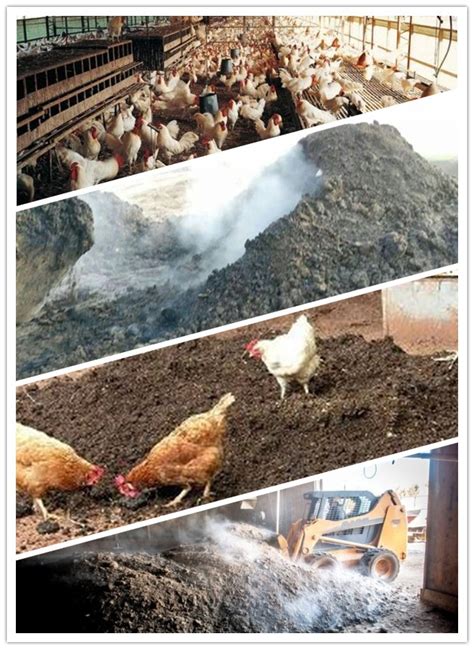 Chicken Manure Composting Machines: A Guide to Increase Farm Efficiency